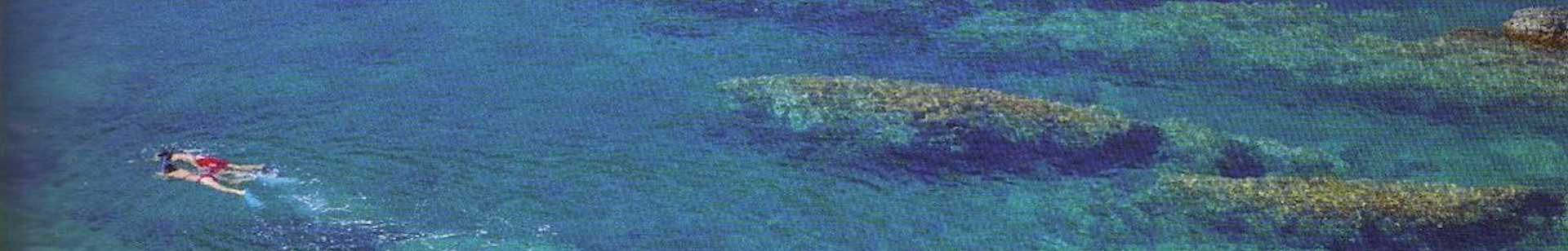 snorkelling à Terrimbo.